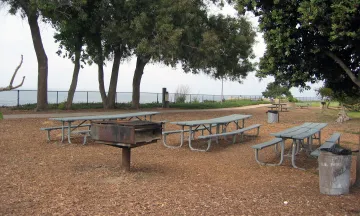 Picnic area at Shoreline Park