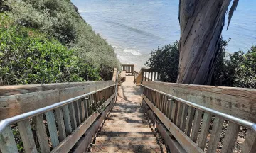 Steps leading from Shoreline Park to the beach below.