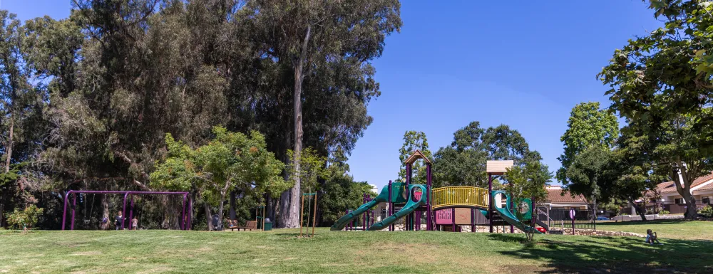 La Mesa Park grass and play structure